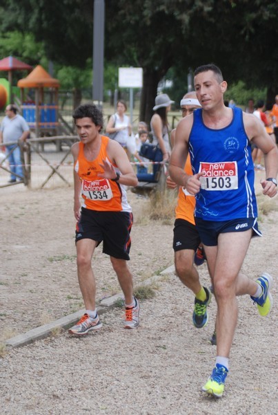 Solstizio d'estate ( C.E.)  (14/06/2015) 00042