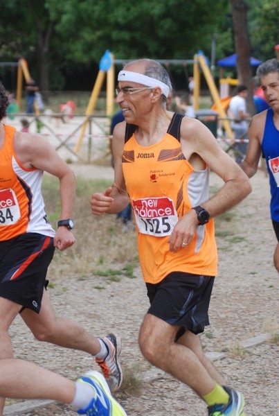 Solstizio d'estate ( C.E.)  (14/06/2015) 00043