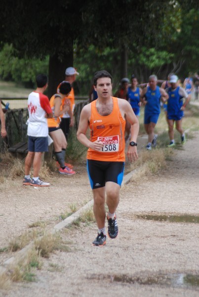 Solstizio d'estate ( C.E.)  (14/06/2015) 00044