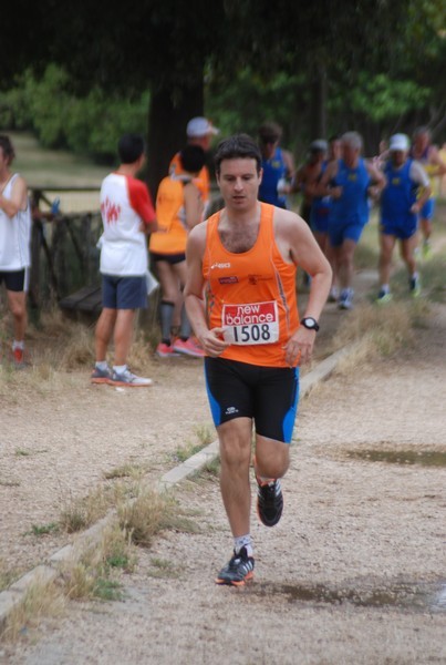 Solstizio d'estate ( C.E.)  (14/06/2015) 00045