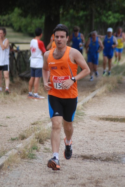 Solstizio d'estate ( C.E.)  (14/06/2015) 00046