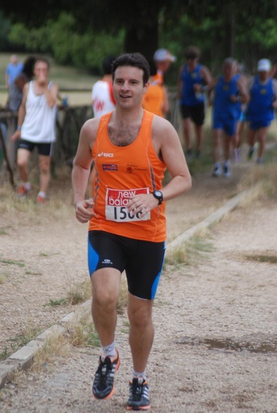 Solstizio d'estate ( C.E.)  (14/06/2015) 00047