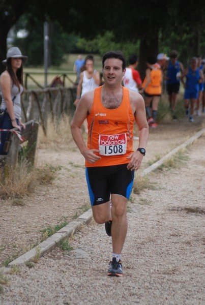 Solstizio d'estate ( C.E.)  (14/06/2015) 00048