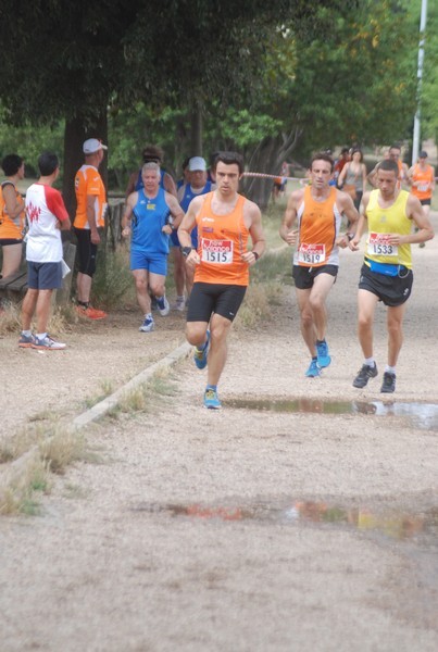 Solstizio d'estate ( C.E.)  (14/06/2015) 00051
