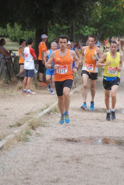 Solstizio d'estate ( C.E.)  (14/06/2015) 00053