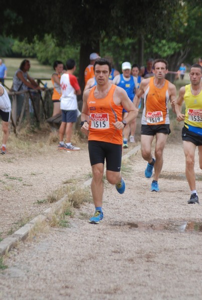 Solstizio d'estate ( C.E.)  (14/06/2015) 00054