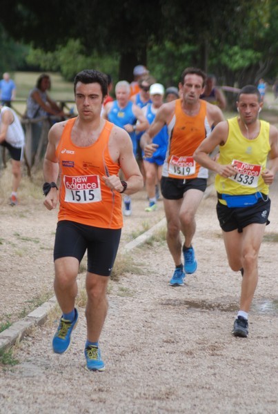 Solstizio d'estate ( C.E.)  (14/06/2015) 00056