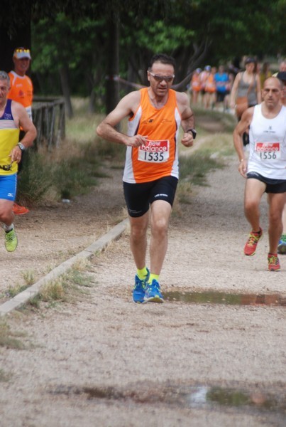 Solstizio d'estate ( C.E.)  (14/06/2015) 00063