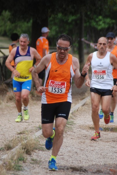 Solstizio d'estate ( C.E.)  (14/06/2015) 00066