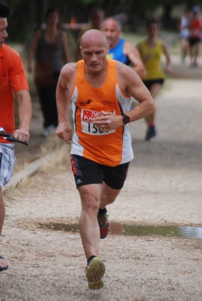 Solstizio d'estate ( C.E.)  (14/06/2015) 00070