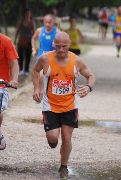 Solstizio d'estate ( C.E.)  (14/06/2015) 00071