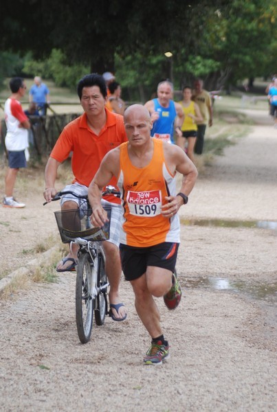Solstizio d'estate ( C.E.)  (14/06/2015) 00073