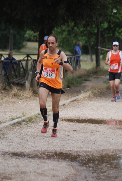 Solstizio d'estate ( C.E.)  (14/06/2015) 00076