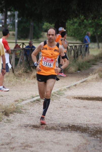 Solstizio d'estate ( C.E.)  (14/06/2015) 00077