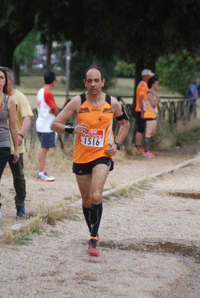 Solstizio d'estate ( C.E.)  (14/06/2015) 00078