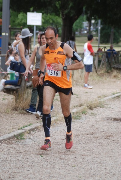 Solstizio d'estate ( C.E.)  (14/06/2015) 00080