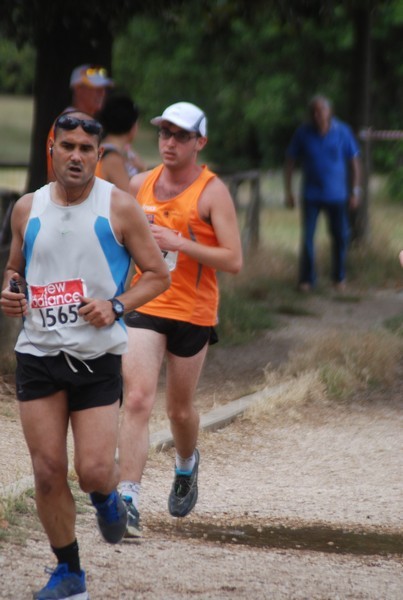 Solstizio d'estate ( C.E.)  (14/06/2015) 00083