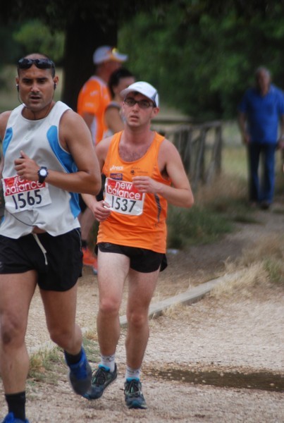Solstizio d'estate ( C.E.)  (14/06/2015) 00084
