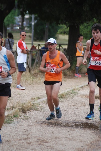 Solstizio d'estate ( C.E.)  (14/06/2015) 00087
