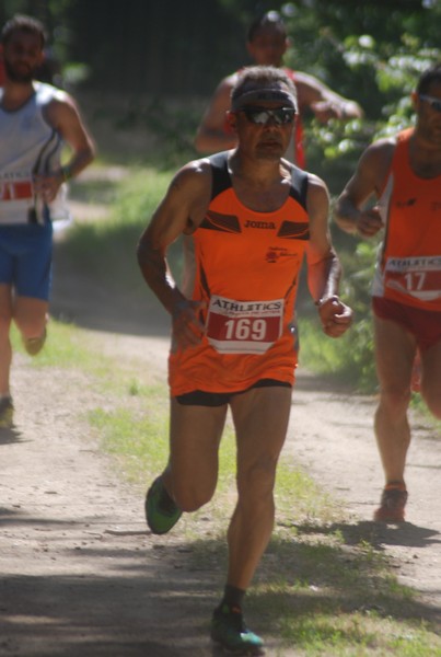 Trofeo Città di Nettuno (02/06/2015) 00066