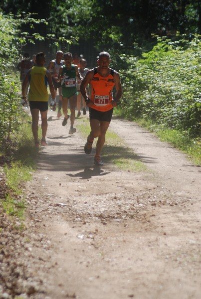 Trofeo Città di Nettuno (02/06/2015) 00084