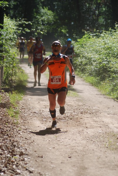 Trofeo Città di Nettuno (02/06/2015) 00107