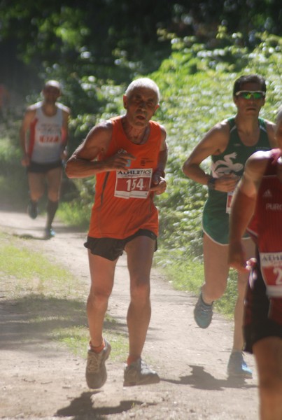 Trofeo Città di Nettuno (02/06/2015) 00116
