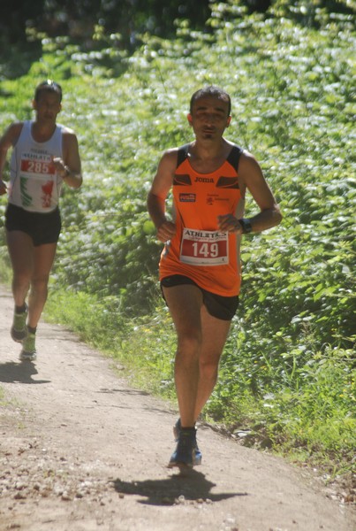 Trofeo Città di Nettuno (02/06/2015) 00137