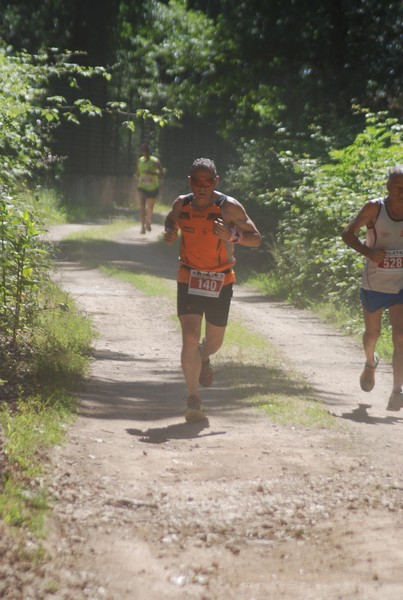 Trofeo Città di Nettuno (02/06/2015) 00155