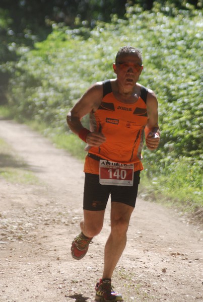 Trofeo Città di Nettuno (02/06/2015) 00159