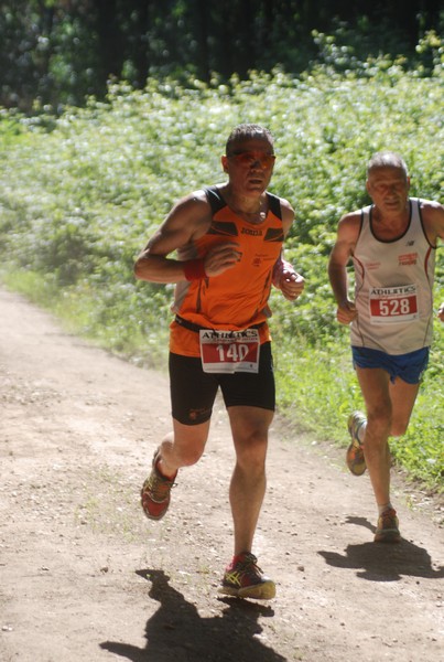 Trofeo Città di Nettuno (02/06/2015) 00160