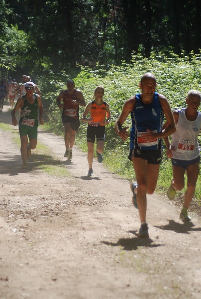 Trofeo Città di Nettuno (02/06/2015) 00178