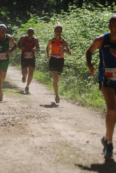 Trofeo Città di Nettuno (02/06/2015) 00179