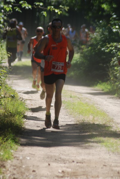 Trofeo Città di Nettuno (02/06/2015) 00223