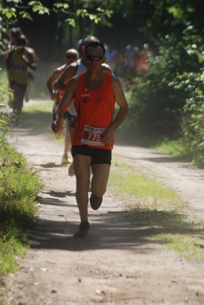 Trofeo Città di Nettuno (02/06/2015) 00224