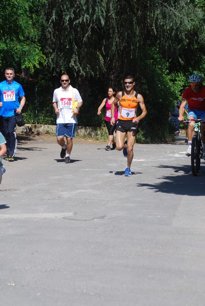 Maratonina di Villa Adriana (31/05/2015) 00013
