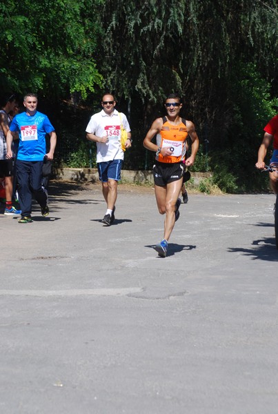 Maratonina di Villa Adriana (31/05/2015) 00014