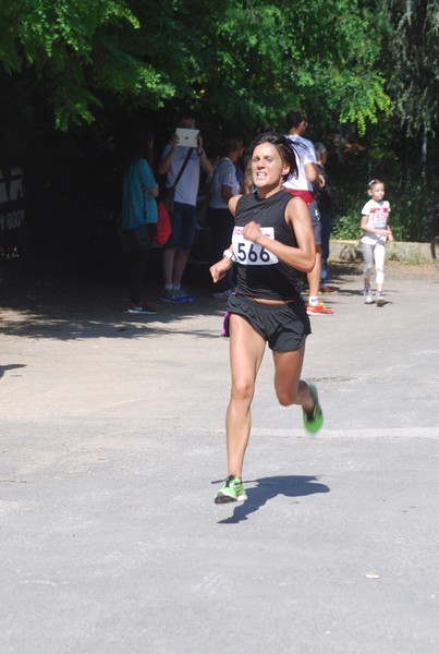 Maratonina di Villa Adriana (31/05/2015) 00023