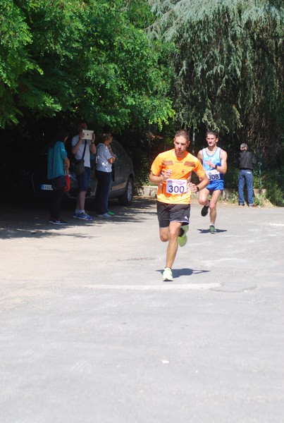 Maratonina di Villa Adriana (31/05/2015) 00033