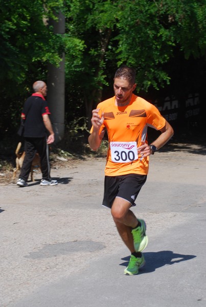 Maratonina di Villa Adriana (31/05/2015) 00034