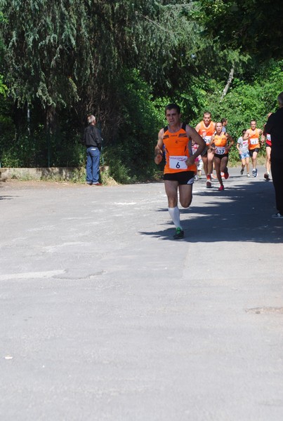 Maratonina di Villa Adriana (31/05/2015) 00047