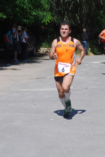 Maratonina di Villa Adriana (31/05/2015) 00051