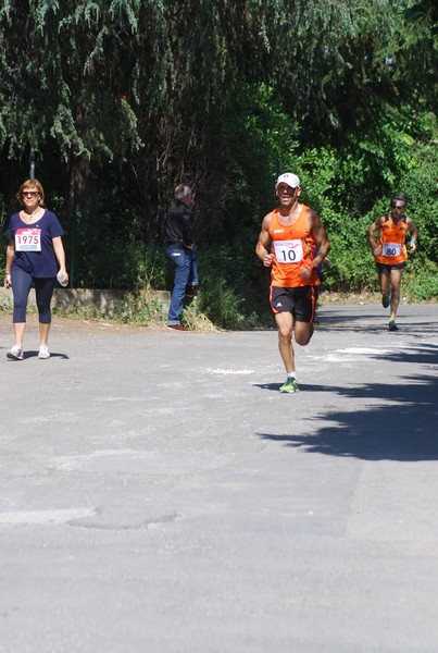 Maratonina di Villa Adriana (31/05/2015) 00061