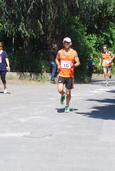 Maratonina di Villa Adriana (31/05/2015) 00063