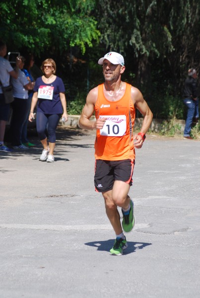 Maratonina di Villa Adriana (31/05/2015) 00066