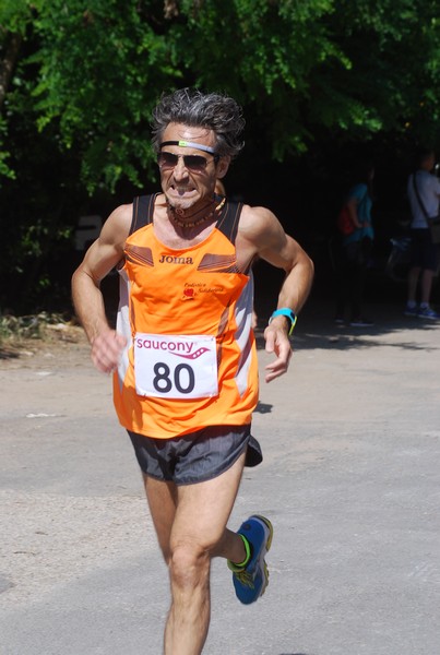 Maratonina di Villa Adriana (31/05/2015) 00075