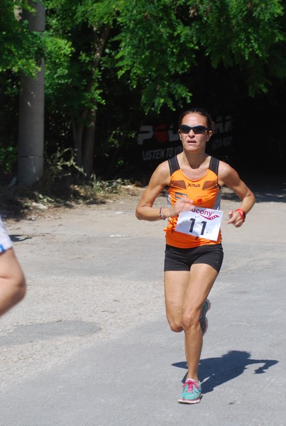 Maratonina di Villa Adriana (31/05/2015) 00082