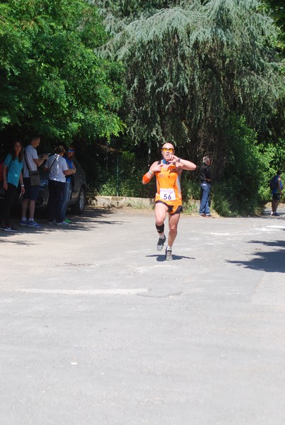 Maratonina di Villa Adriana (31/05/2015) 00085