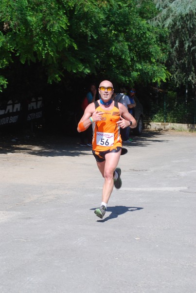 Maratonina di Villa Adriana (31/05/2015) 00086