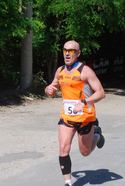 Maratonina di Villa Adriana (31/05/2015) 00088